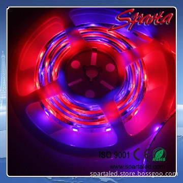 DC12V 5050 rgb dream color 6803 ic led strip light 94